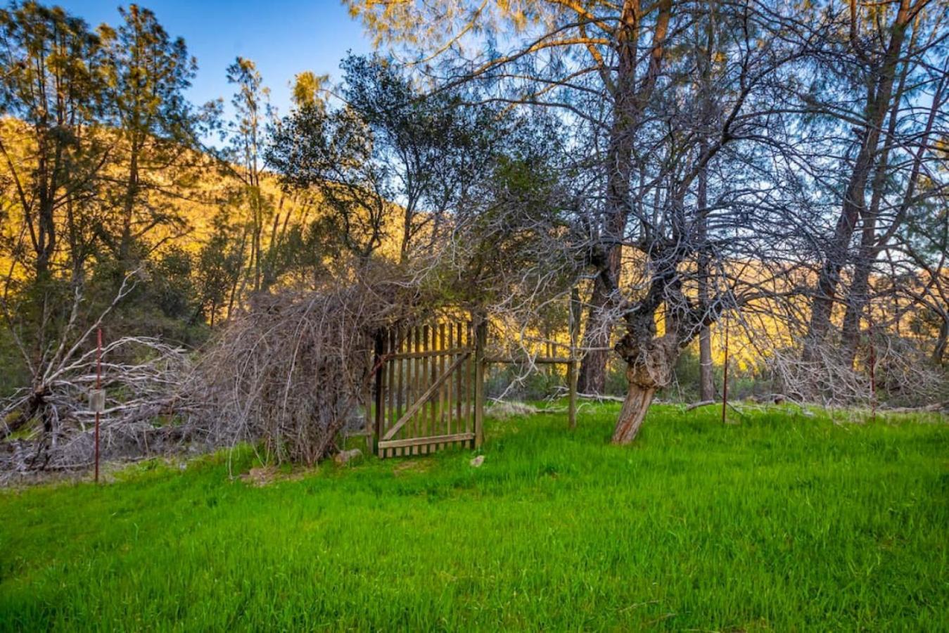 Sierra Vista Lookout Lodge With Creek, Waterfall And Waterholes, Minutes From Bass Lake And Yosemite South Gate North Fork Экстерьер фото